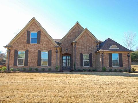 8709 Brunswick Forest Cv, Bartlett, TN 38133 photo 1