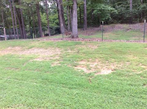 205 Pinecrest Dr, Counce, TN 38326 photo 3