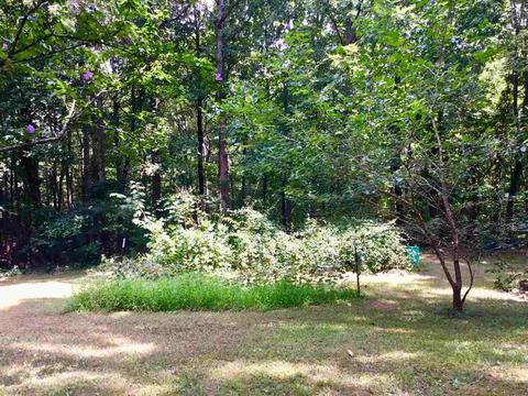 249 Dickey Rd, Ramer, TN 38367 photo 21