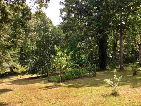 249 Dickey Rd, Ramer, TN 38367 photo 22