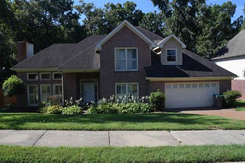 8727 Raspberry Ln, Memphis, TN 38016 photo 1