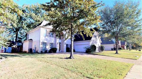 1448 River Pine Dr, Collierville, TN 38017 photo 2
