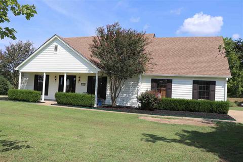 7224 Mt Carmel Rd, Covington, TN 38019 photo 3