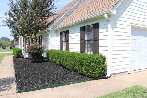 7224 Mt Carmel Rd, Covington, TN 38019 photo 25