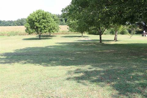 7224 Mt Carmel Rd, Covington, TN 38019 photo 20