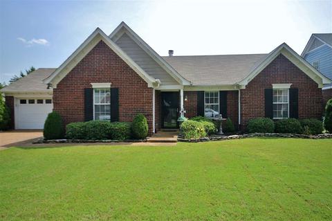 1460 Wolf Pack Dr, Collierville, TN 38017 photo 1