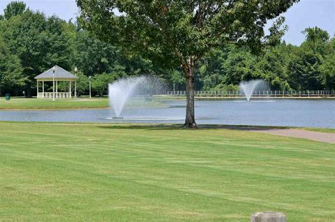 1460 Wolf Pack Dr, Collierville, TN 38017 photo 22