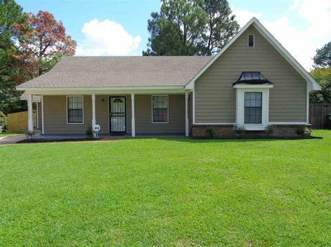 4604 Wicklow Dr, Memphis, TN 38141 photo 17