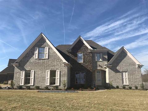 8486 Butterfly View Ln, Bartlett, TN 38133 photo 1