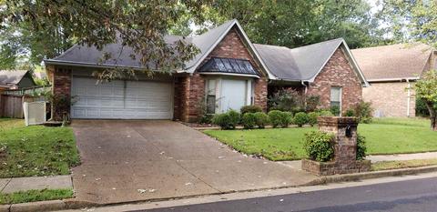 8905 Walnut Ridge Loop, Memphis, TN 38018 photo 13