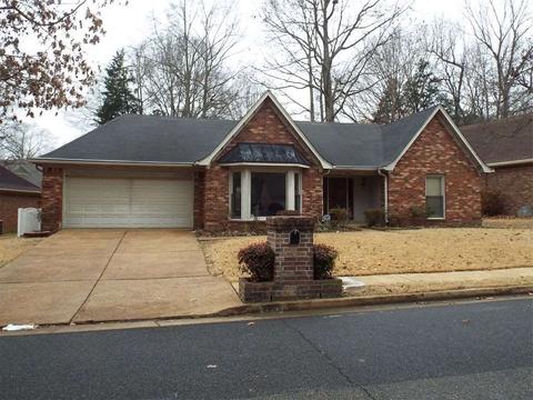 8905 Walnut Ridge Loop, Memphis, TN 38018 photo 14