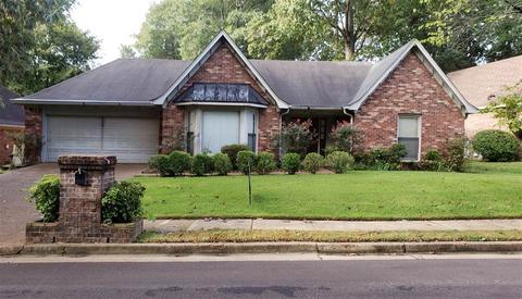 8905 Walnut Ridge Loop, Memphis, TN 38018 photo 1