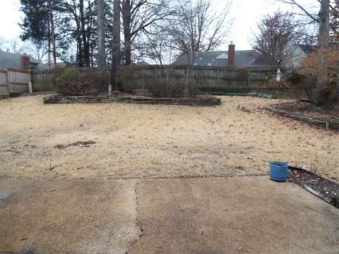 8905 Walnut Ridge Loop, Memphis, TN 38018 photo 10