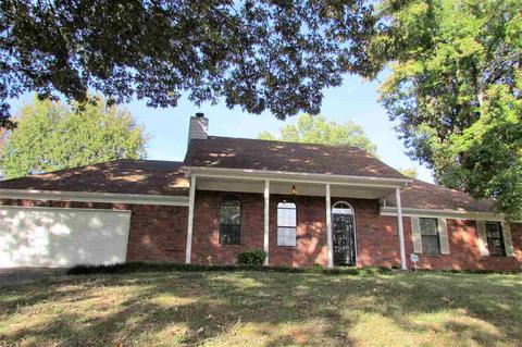 4315 E Sunset Pt, Memphis, TN 38135 photo 14