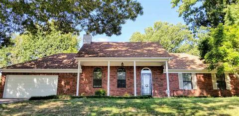 4315 E Sunset Pt, Memphis, TN 38135 photo 1