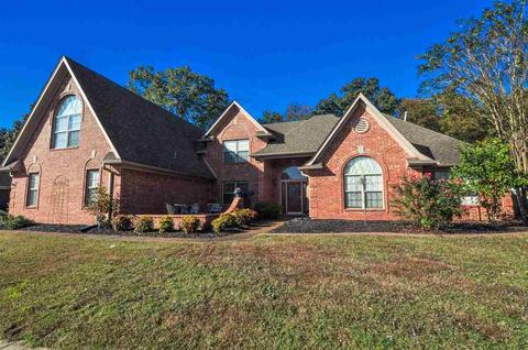 9130 Beech Bend Trl, Memphis, TN 38018 photo 1