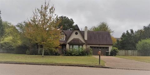 233 E White Rd, Collierville, TN 38017 photo 1