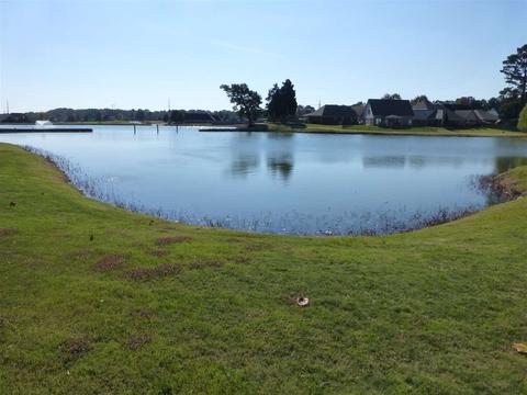 3448 E Pendulum Dr, Hernando, MS 38632 photo 19