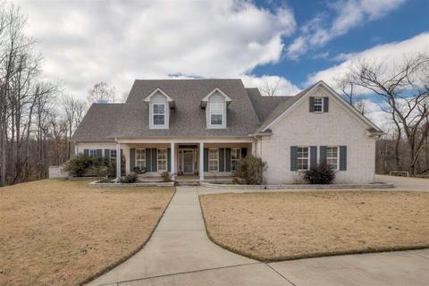 485 Grimes Rd, Drummonds, TN 38023 photo 1