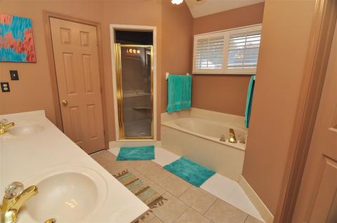 225 Alan Cv, Collierville, TN 38017 photo 14