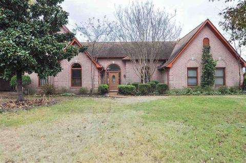 225 Alan Cv, Collierville, TN 38017 photo 1