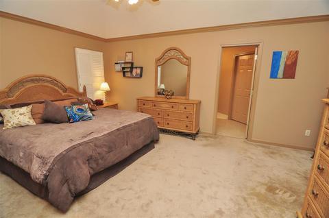 225 Alan Cv, Collierville, TN 38017 photo 12
