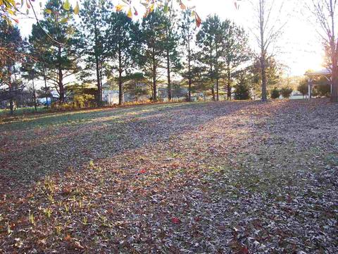 55 Eric Ln W, Ramer, TN 38367 photo 7