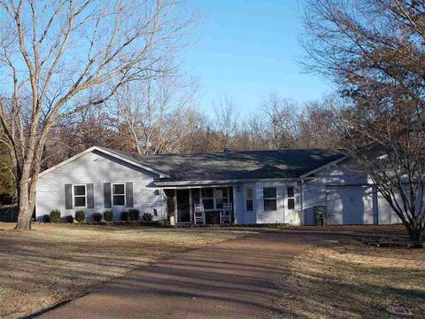 126 Baseline Rd, Dyer, TN 38330 photo 18