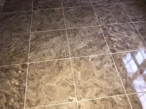 8382 Dunleith Cv, Olive Branch, MS 38654 photo 9