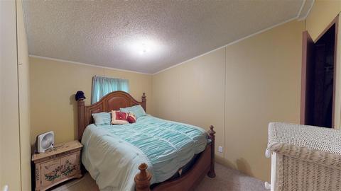 20 Springbrook Dr, Counce, TN 38326 photo 12