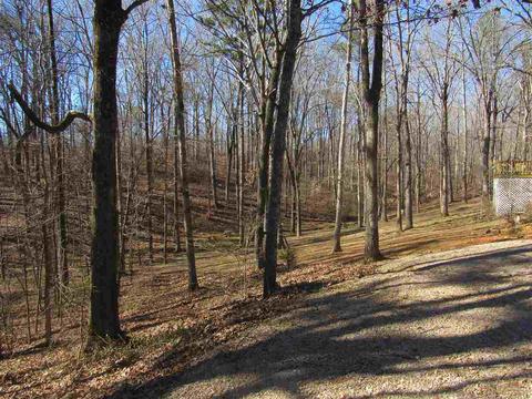 20 Springbrook Dr, Counce, TN 38326 photo 21