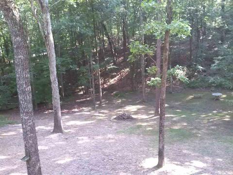 20 Springbrook Dr, Counce, TN 38326 photo 22