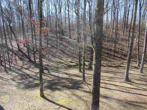 20 Springbrook Dr, Counce, TN 38326 photo 18
