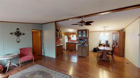 20 Springbrook Dr, Counce, TN 38326 photo 3