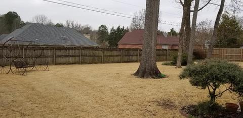369 Wolf Trap Rd, Collierville, TN 38017 photo 24
