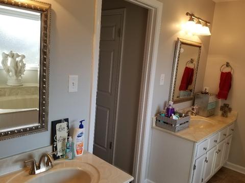 369 Wolf Trap Rd, Collierville, TN 38017 photo 16