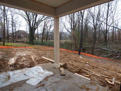 4138 Blackheath Dr, Bartlett, TN 38135 photo 18