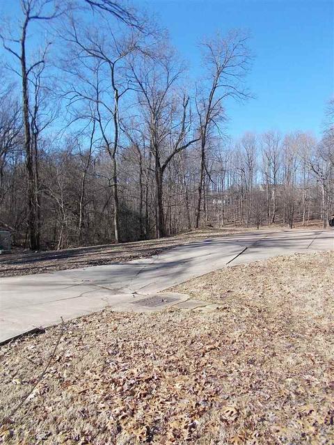 322 Abby Rd, Drummonds, TN 38023 photo 24