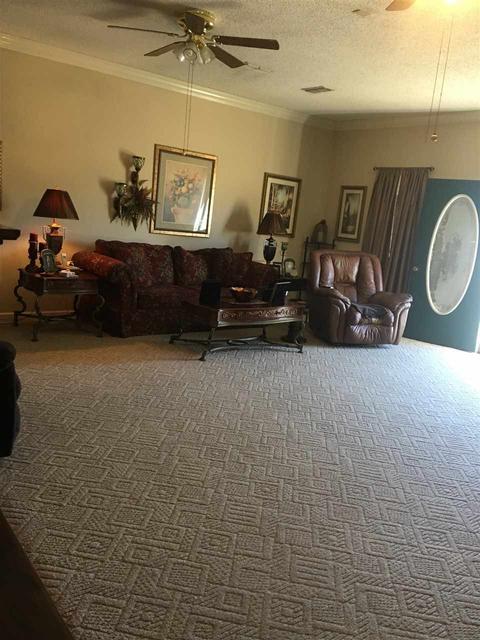 7394 Mt Carmel Rd, Covington, TN 38019 photo 23