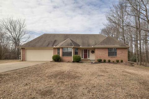 175 Heather Ln, Drummonds, TN 38023 photo 1