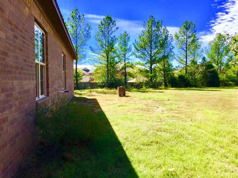 3191 Eupora Cv, Memphis, TN 38119 photo 7