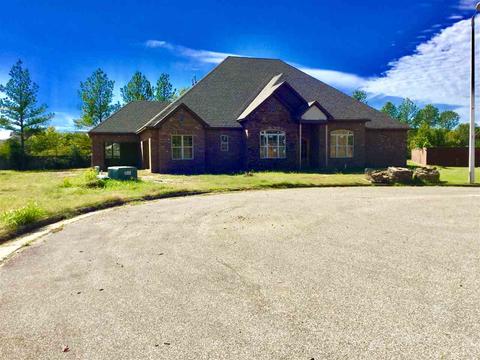 3191 Eupora Cv, Memphis, TN 38119 photo 1