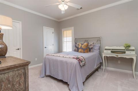 829 Mcferrin Ln, Collierville, TN 38017 photo 21