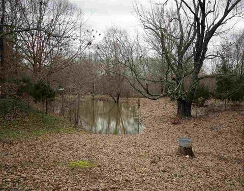 2355 Bobbitt Rd, Williston, TN 38076 photo 3