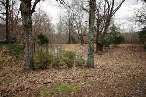 2355 Bobbitt Rd, Williston, TN 38076 photo 21