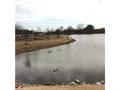 3444 Roxee Run Ln, Bartlett, TN 38133 photo 24