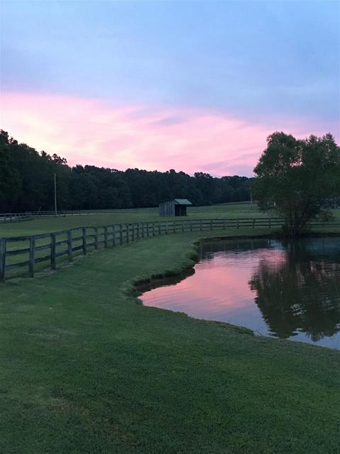 2245 Burnette Rd, Williston, TN 38076 photo 21