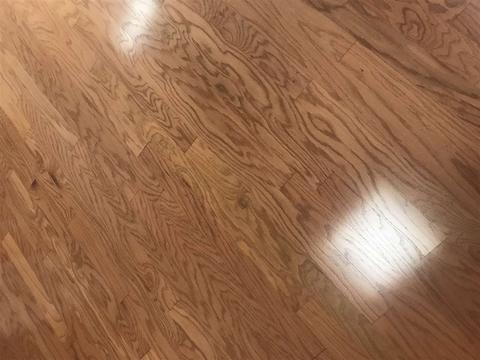 9216 Ina Cv, Bartlett, TN 38133 photo 15