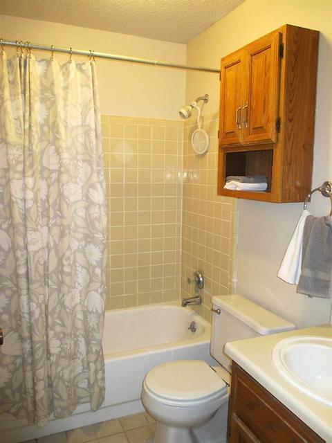 369 Cascade Falls Rd, Collierville, TN 38017 photo 14