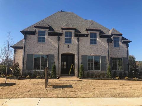 611 Cedar Shadows Cir E, Collierville, TN 38017 photo 1
